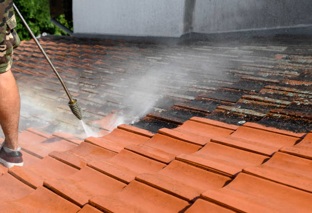 Best Sidewalk Pressure Washing  in Madeira Beach, FL