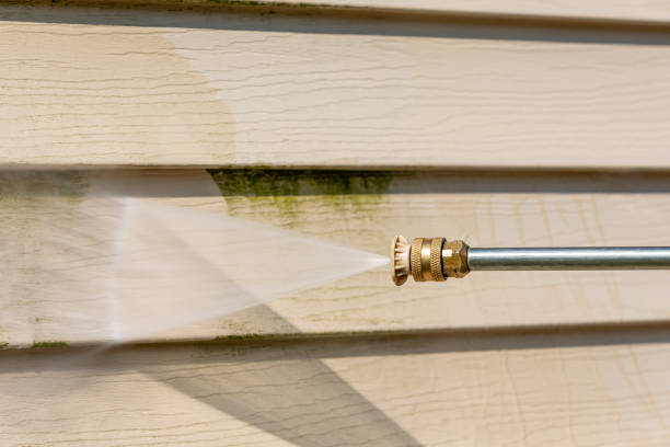 Best Roof Pressure Washing  in Madeira Beach, FL