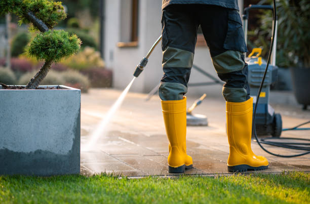 Best Pressure Washing Near Me  in Madeira Beach, FL